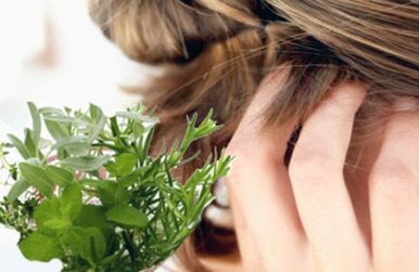 herb for psoriasis of the head