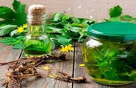 Treatment of psoriasis with celandine